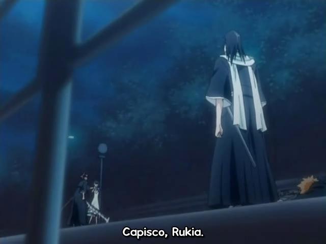 Otaku Gallery  / Anime e Manga / Bleach / Screen Shots / Episodi / 017 - Ichigo muori / 074.jpg